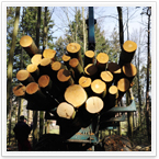 Holzproduktion