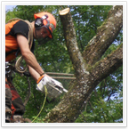 oeffentlichkeit02 thumb