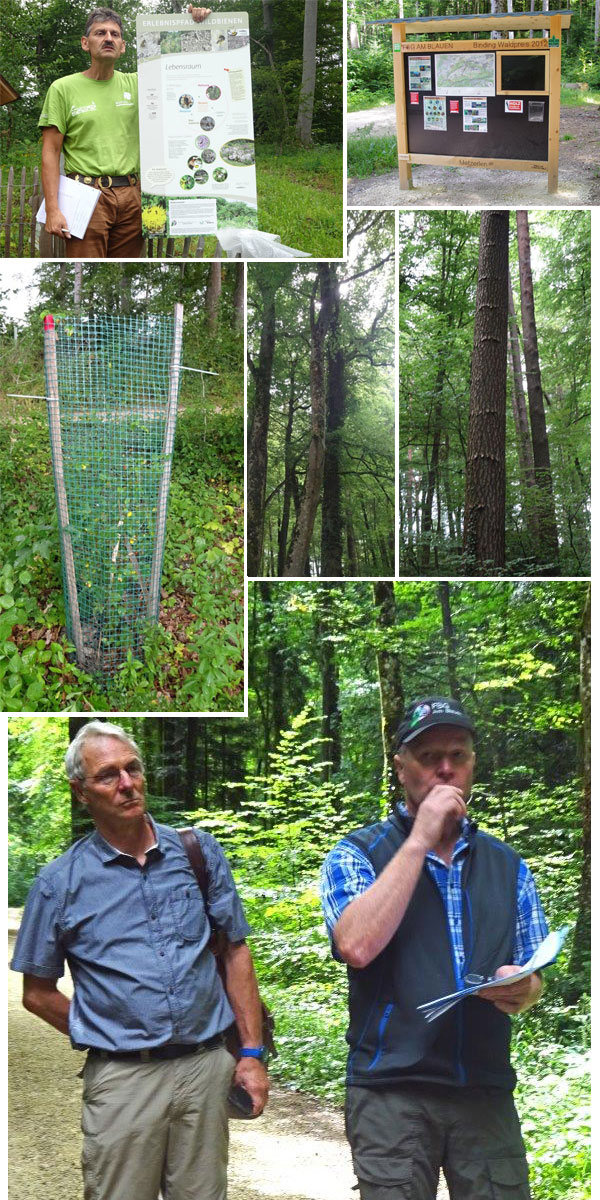 Bericht Bindingpreis