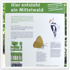 Biodiversität, Projekte